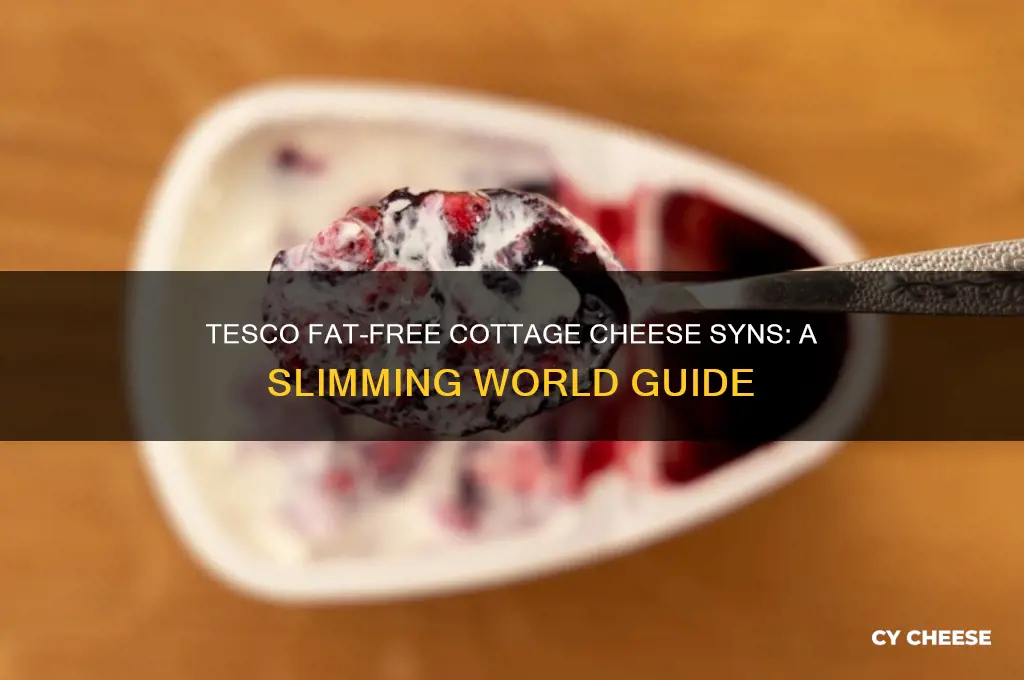 how many syns in tesco fat free cottage cheese