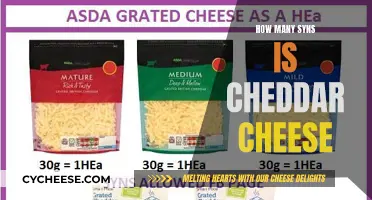 Cheese Please! Cheddar's Syns Unveiled: A Tasty Guide