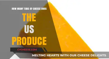US Cheese Production: Unveiling the Tons of Dairy Delight
