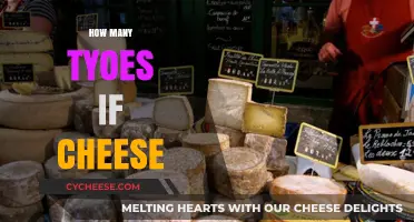 Exploring the Diverse World of Cheese Varieties and Types