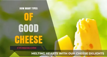 Cheese Delights: Exploring the Many Varieties of Good Cheese