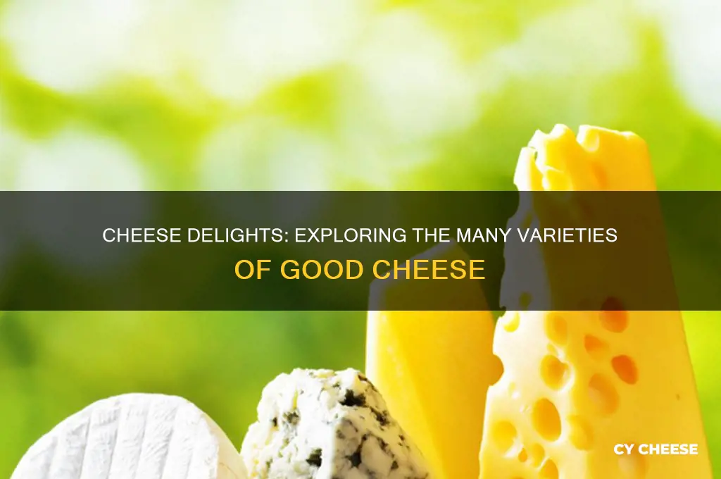 how many types of good cheese
