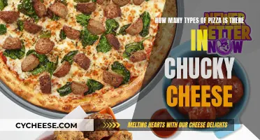 Chucky Cheese's Pizza Paradise: Exploring the Delicious Varieties