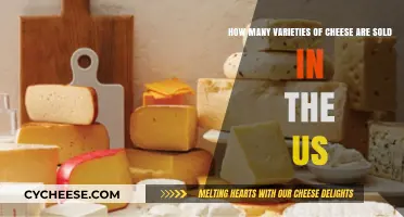 Exploring the Diverse Cheese Varieties Available in the United States