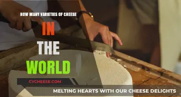 Exploring the Global Cheese Varieties: A Delicious World Tour