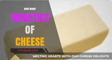 Exploring the Astonishing Diversity of Cheese Varieties Worldwide