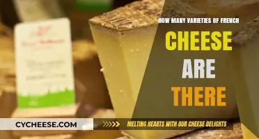 Exploring the Rich Diversity of French Cheese Varieties
