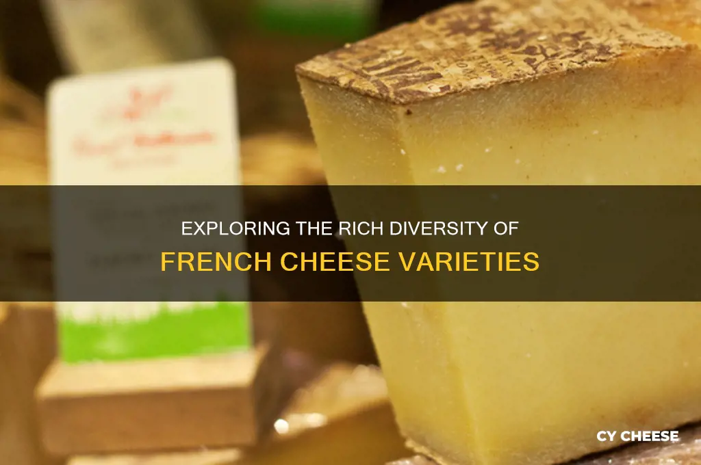 how many varieties of french cheese are there