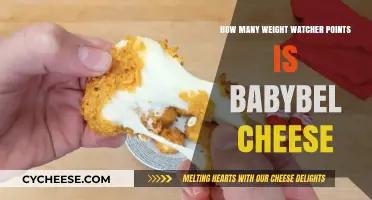 Weight Watchers Points for Babybel Cheese: A Quick Guide