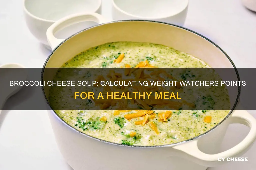 how many weight watchers points in broccoli cheese soup