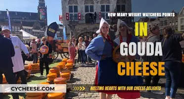 Gouda Cheese Weight Watchers Points: A Complete Guide