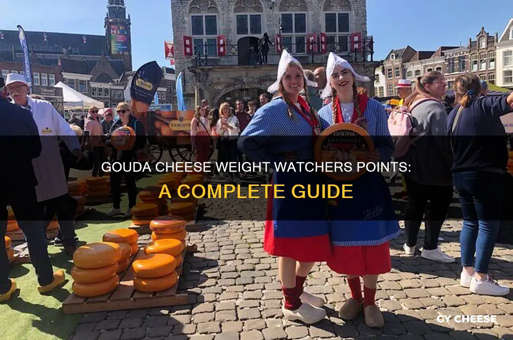 how many weight watchers points in gouda cheese