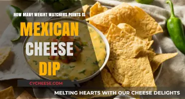 Mexican Cheese Dip Weight Watchers Points Calculation Guide
