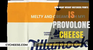 Provolone Cheese Weight Watchers Points: A Complete Guide