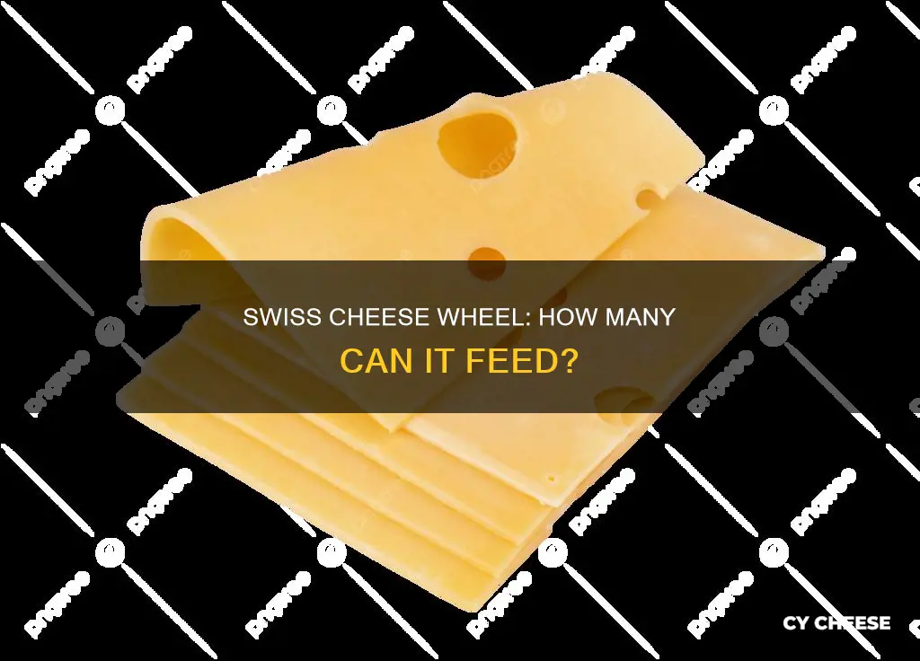 how many willl feed 1 2lb wheel of swiss cheese