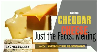 Mastering the Art of Melting Cheddar: Tips for Perfect Results