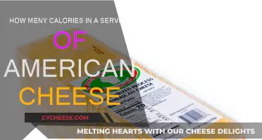 Calories in American Cheese: What's the Count?