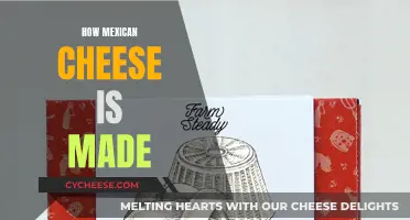 The Art of Mexican Cheese: A Traditional Guide