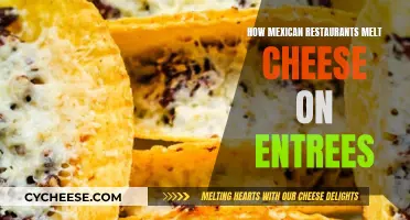 Mexican Restaurants' Cheesy Entrees: Melting Techniques Revealed