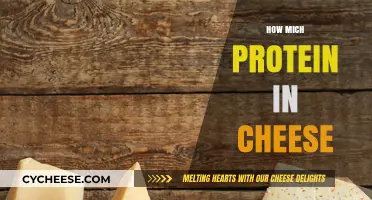 Cheese Protein Content: Uncovering the Nutritional Value in Every Slice