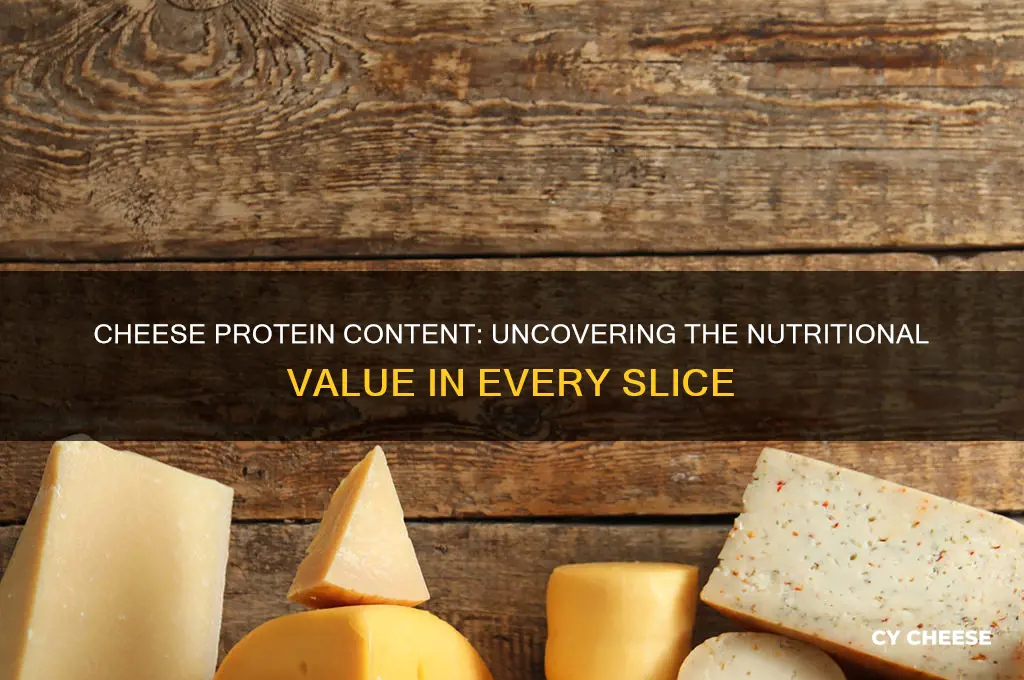 how mich protein in cheese