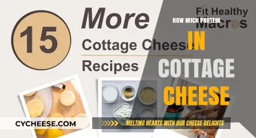 Cottage Cheese Protein Content: A Nutritional Breakdown and Benefits