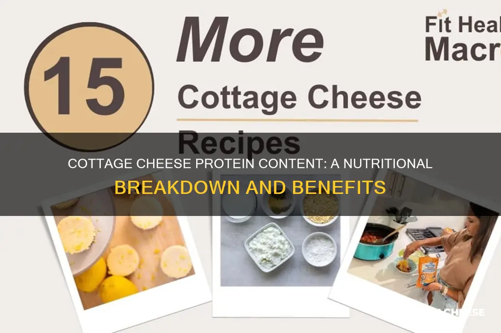how mich protein in cottage cheese
