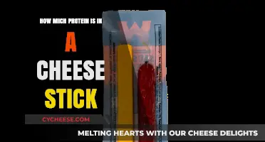 Cheese Stick Protein Content: Uncovering the Nutritional Value Inside
