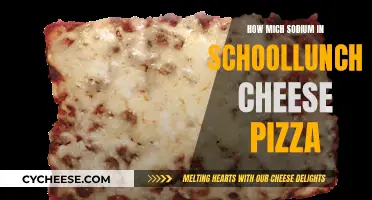 School Lunch Cheese Pizza: How Much Sodium?
