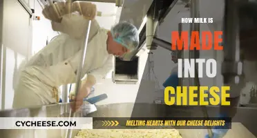 From Milk to Cheese: Unveiling the Art of Cheesemaking