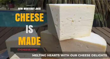 The Art of Crafting Monterey Jack: A Cheesemaker's Journey