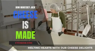 Monterey Jack Cheese: A Step-by-Step Guide to Making It