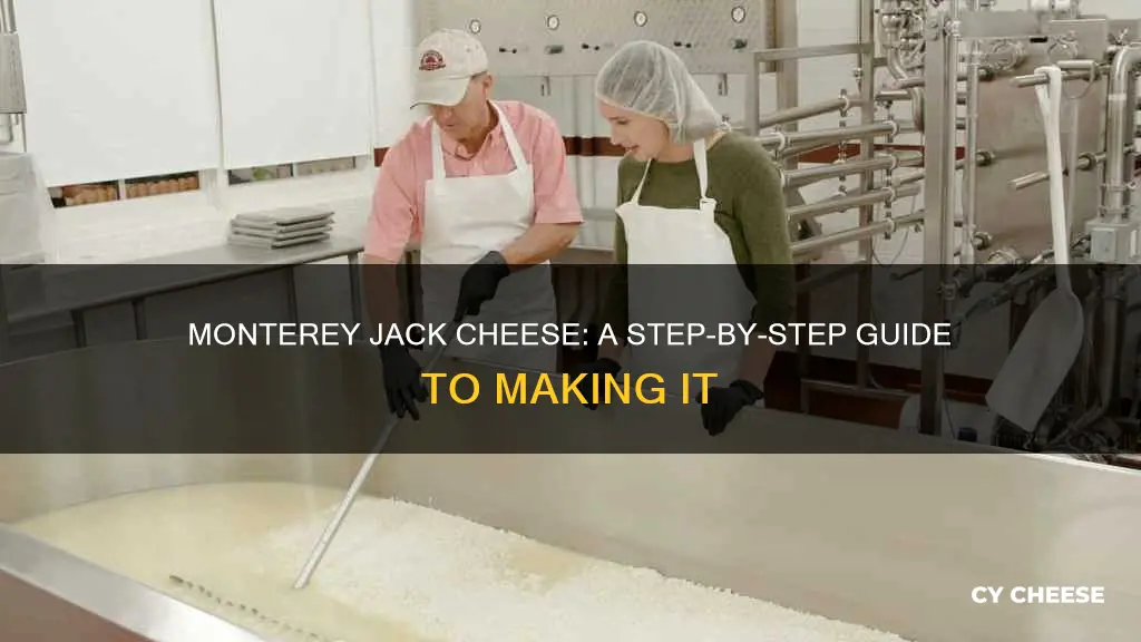 how monterey jack cheese is made