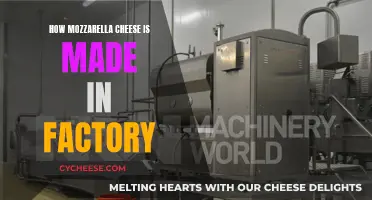 Mozzarella Cheese Factory Production Process