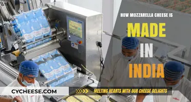 From Milk to Mozzarella: India's Cheesy Journey