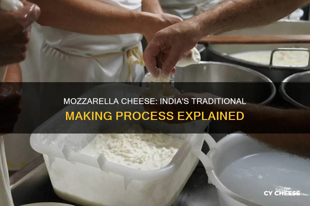 how mozzarella cheese is made in india