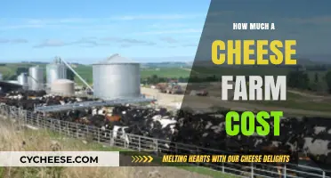 Exploring the Costs of Starting and Running a Cheese Farm