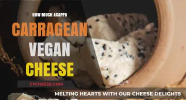 Exploring Acappa Carrageenan Vegan Cheese: Cost, Quality, and Benefits