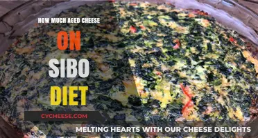 Aged Cheese on SIBO Diet: How Much is Safe?