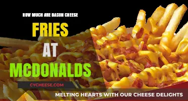 McDonald's Bacon Cheese Fries Price: A Tasty Treat's Cost Revealed