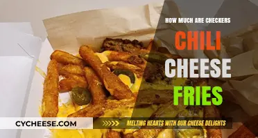 Checkers Chili Cheese Fries Price: Are They Worth the Cost?