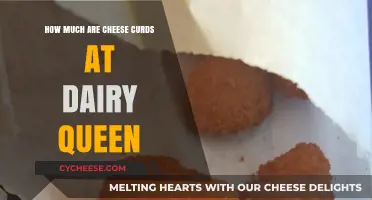 Dairy Queen Cheese Curds: Price, Availability, and Tasty Details
