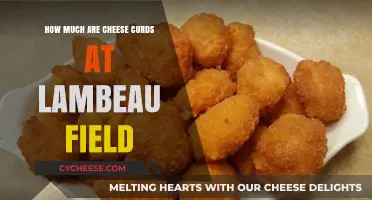 Cheese Curds at Lambeau Field: Prices and Where to Find Them