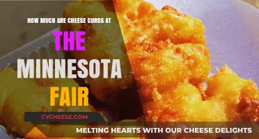 Minnesota Fair Cheese Curds: Price, Taste, and Where to Find Them