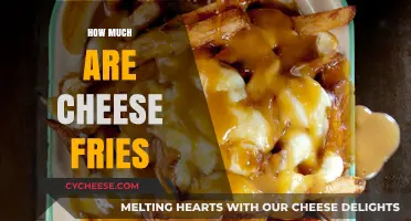 Cheese Fries Cost: Uncovering the Price of This Tasty Snack