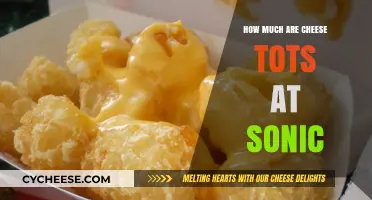 Sonic's Cheese Tots Price: A Tasty Snack Budget Guide