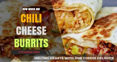 Chili Cheese Burritos: Unveiling the Cost of This Delicious Treat