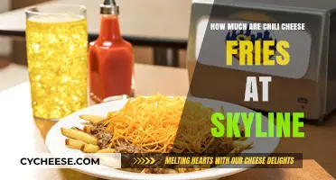 Skyline Chili Cheese Fries Price: A Tasty Treat's Cost Revealed