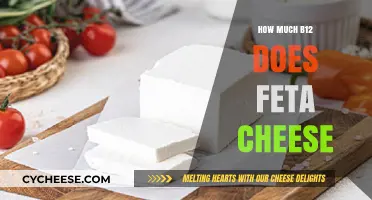 Feta Cheese and Vitamin B12: Uncovering Its Nutritional Value