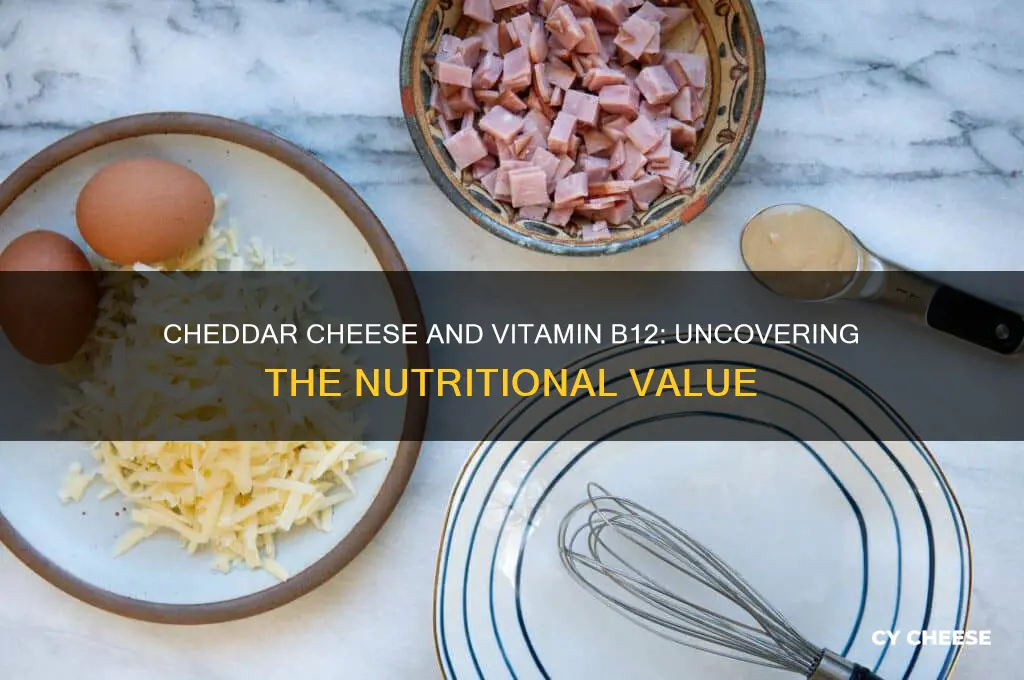 how much b12 in cheddar cheese